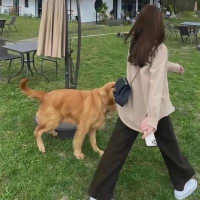 天津闲人